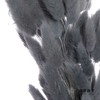 干花 | 兔尾草灰蓝 商品缩略图1