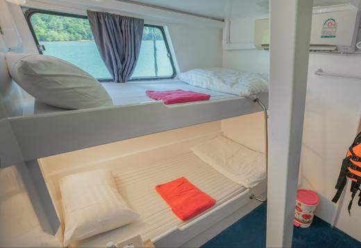 泰国普吉斯米兰群岛二日游【两天一晚船宿OW持证四次潜水|夜间/深潜水】往返接送 商品图4