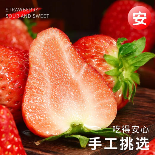 【分仓直发包邮】丹东99红颜草莓2斤（大果，单果25g+） 商品图1
