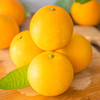 【江西赣南脐橙】 新鲜现摘 香甜多汁 果园直采 4.5斤装 商品缩略图3