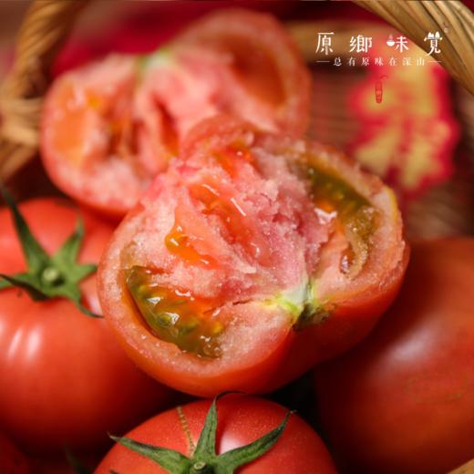 有机番茄西红柿（基地直发-顺丰/京东包邮） | 多种规格，来自四只瓢虫兄弟农场，生产者：詹志宇【合作生产，公平贸易】 商品图3