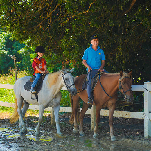 【季节限定】1月2日 增城·小农夫体验 亲子活动1日 | 采摘迟菜心、挖红薯烤红薯、卡丁车竞速、丛林穿越、真人CS精英战场、骑马体验 商品图1