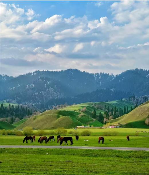 2026年错峰游【新疆北疆全景-阿勒泰+伊犁3卧1动13日游】4.28-5.10 |禾木/喀纳斯/五彩滩/世界魔鬼城/赛里木湖/果子沟大桥/六星街/那拉提草原/火焰山/坎儿井/国际大巴扎/天山天池 商品图2