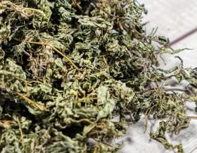野苏叶50g 내기50g
