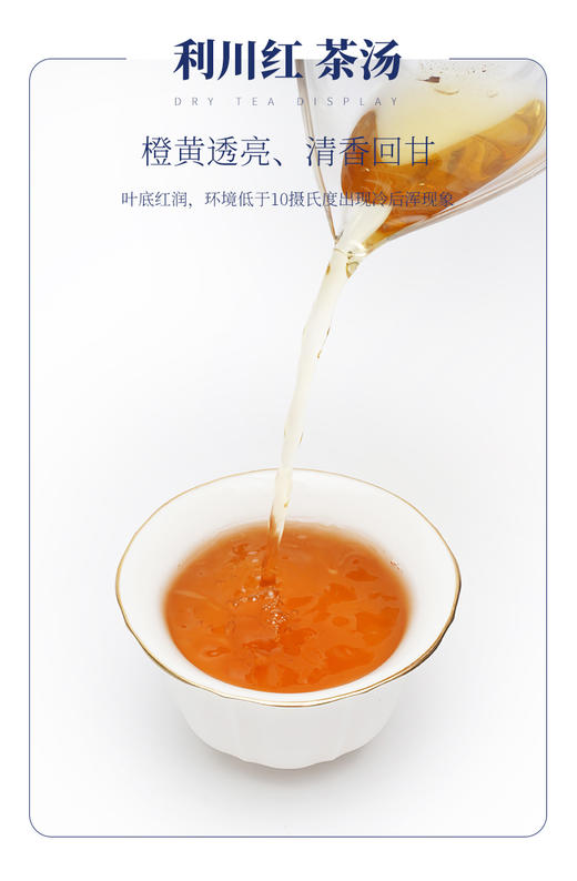 蓝焙·硒妃利川红·楚艺192克（48袋*4克）/盒一级 商品图3