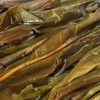 2024茶王树古树小饼礼盒   普洱茶 生茶 14g/盒 商品缩略图2