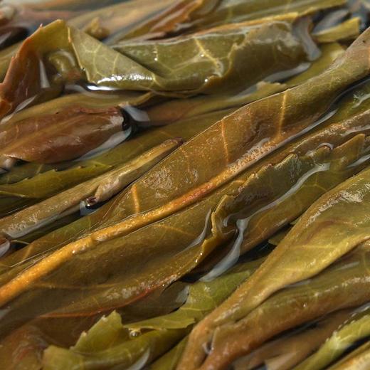 2024茶王树古树小饼礼盒   普洱茶 生茶 14g/盒 商品图2