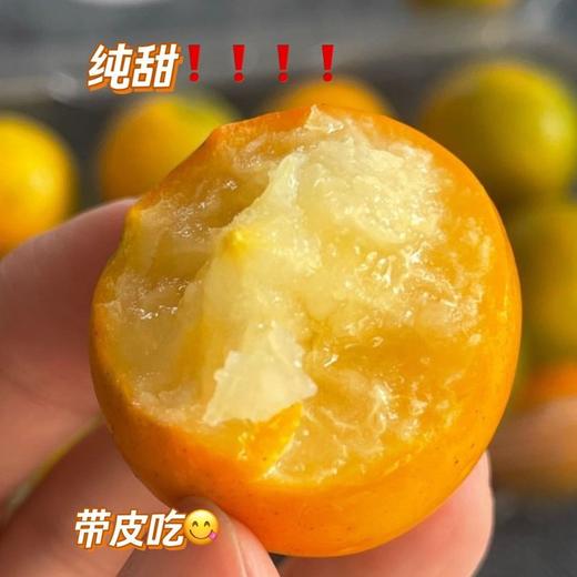 【分仓直发包邮】广西脆皮金桔2斤（果王，一斤15-25个） 商品图1
