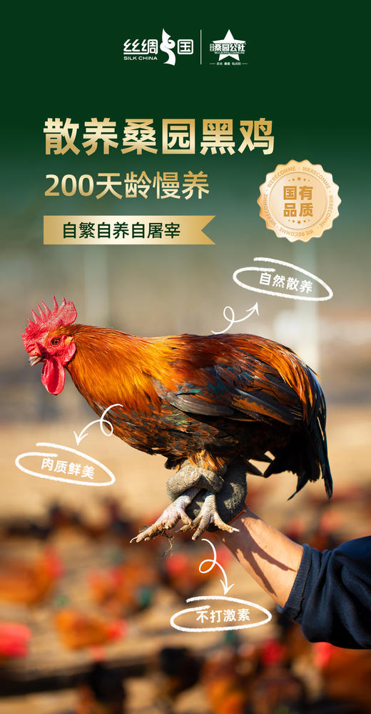 【桑园公社】 桑园好品大礼包 商品图3