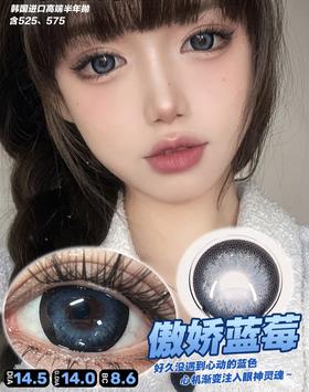 傲娇蓝莓【半年抛】