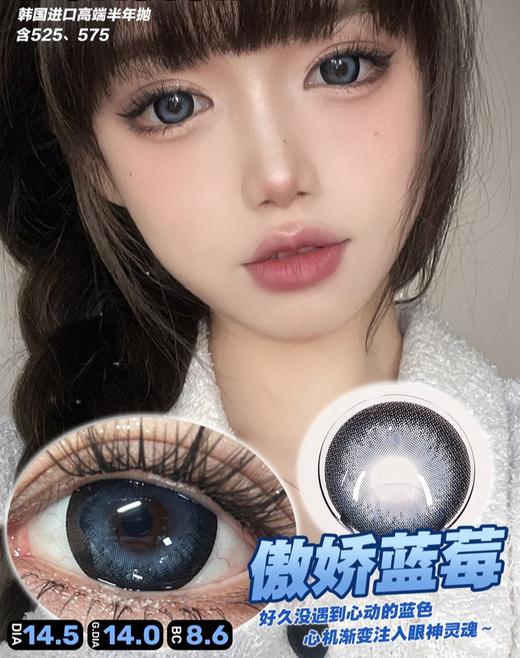 傲娇蓝莓【半年抛】 商品图0