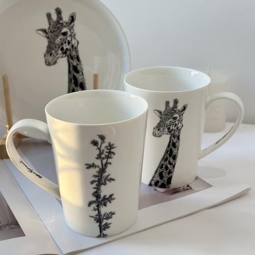 【福利特惠-库存清仓】爆卖10000+件🔥国内停产库存珍贵🌈澳大利亚设计师品牌【Maxwell Williams马克杯】是瓷器更是艺术品！超低价清仓，非质量问题不退不换，介意慎拍 商品图12