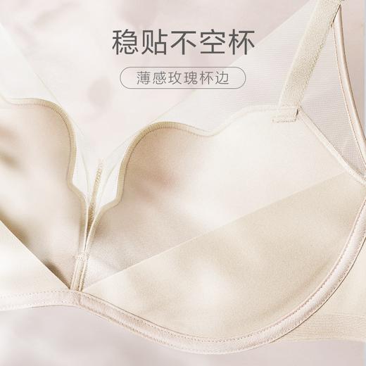 【海信嘉年华】安莉芳玫瑰花瓣舒挺杯小胸显大文胸 EBW0626 商品图3