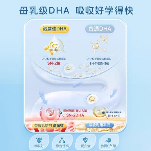 【跨境】NYO3诺威佳DHA藻油磷脂酰丝氨酸凝胶糖果  新西兰进口母乳级DHA全脑补充纯净原料0添加 商品图4