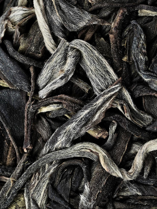 最后2提【班章王单株】一箱内含5饼*100g！ 2024年头春头采近千年树龄高杆单株，与老班章同一山脉，古寨春独享资源；全球限量100箱 商品图3