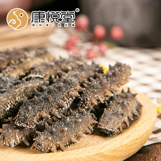 康悦堂.锁鲜炖  燕如初鲜炖燕窝 商品图7