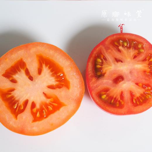 有机番茄西红柿（基地直发-顺丰/京东包邮） | 多种规格，来自四只瓢虫兄弟农场，生产者：詹志宇【合作生产，公平贸易】 商品图7