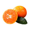 甜果源源 广西沃柑【精品果】高品质橘子 商品缩略图3