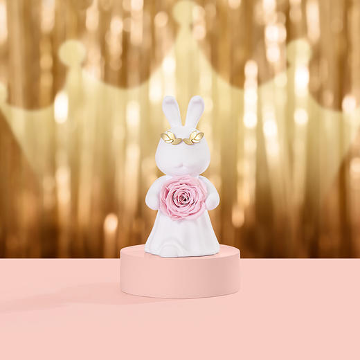 ROSEONLY诺誓 永生玫瑰 公仔系列 爱冕兔 Baby宝贝系列 送朋友 情人节礼物 商品图0