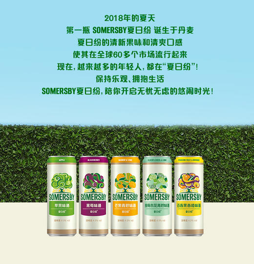 夏日纷混合口味苹果味*4+黑莓味酒*4+百香果味酒*4/330ml*12罐装 商品图4