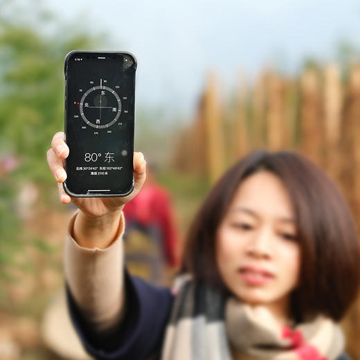 【云端上的有机雪山山药】冰激凌般软糯香软 连续年通过8年有机认证 生长在雅安宝兴2300米海拔的夹金山上 商品图3