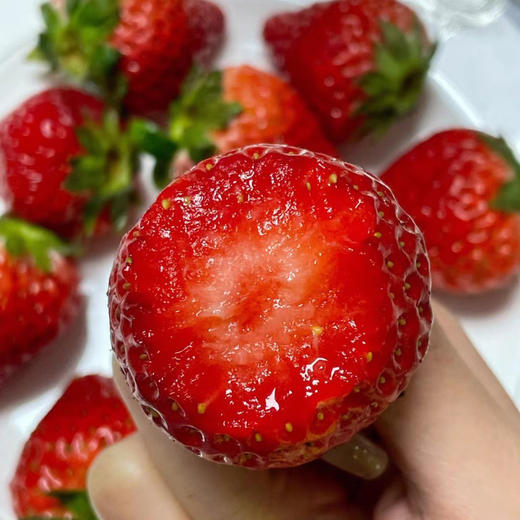 四川大凉山露天奶油草莓 ， 冬天第一口，念念不忘的美味【G】 商品图1