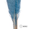 干花 | 大芦苇浅蓝 商品缩略图3