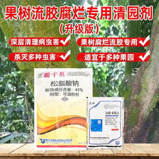 果树流胶溃疡腐烂清园松脂酸钠果园茶园清园专用 商品图3