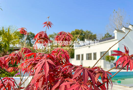 南京慢姑娘伊佑轰趴馆 商品图8