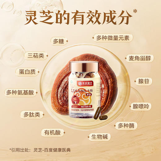 年货节限定【灵芝提取物孢子粉胶囊】 商品图2