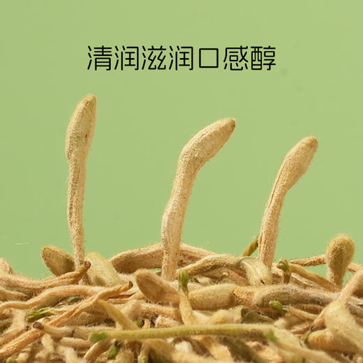 有机金银花 茶干花泡水喝养生代用茶花草茶【京东快递送货上门】 商品图2