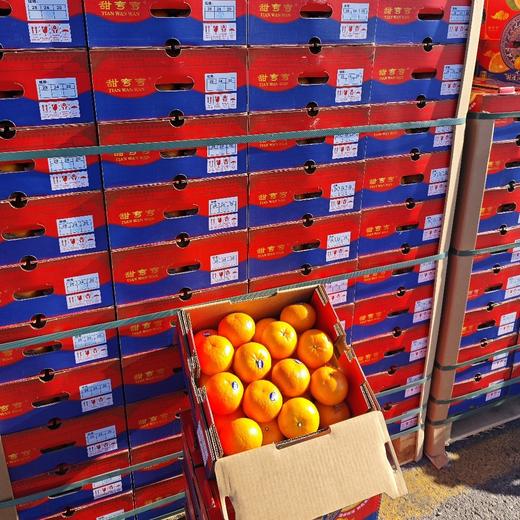 甜弯弯~沃柑 商品图6