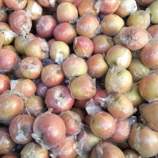 甜果源源 高山冰糖心丑苹果【不是每个果子都有冰糖心】 商品图1