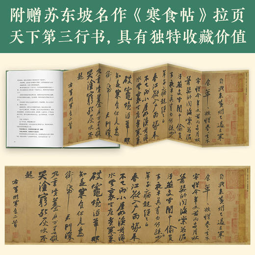 【意公子新书现货】《人生得遇苏东坡》 方知可以这样活 果麦 商品图4