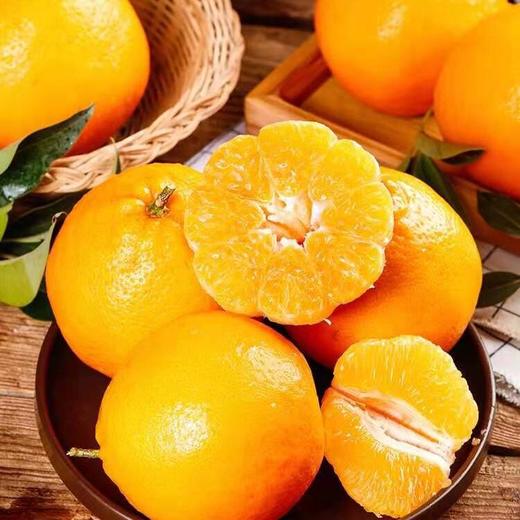 甜果源源 四川春见耙耙柑 商品图3