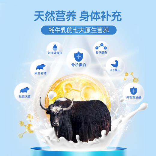 华羚有机牦牛奶粉300g/罐（买一送1罐100g/盒有机牦牛奶粉） 商品图1