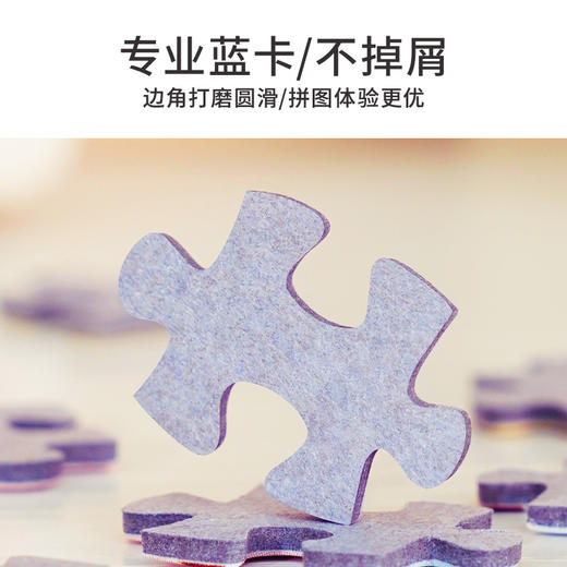 TOi图益-潮玩拼图系列-星海漫步-500片-分包款 商品图5