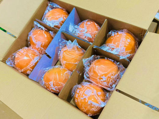 水分炸弹非它莫属，坚持自然成，不泡药，不打催熟，橙香浓，🍊果粒饱满且细腻，皮薄肉厚，甜如初恋
一箱9枚/净果约7斤（带手提袋） 商品图3