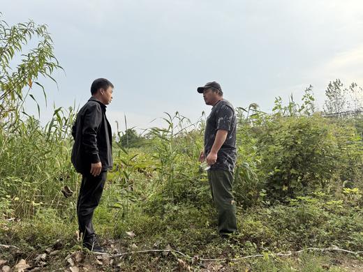 合作产品/生态藕粉 中通包邮 商品图4