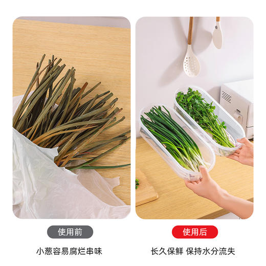 摩登主妇葱姜蒜收纳盒冰箱食品级小葱香菜保鲜蔬菜水果食物分装盒 商品图2
