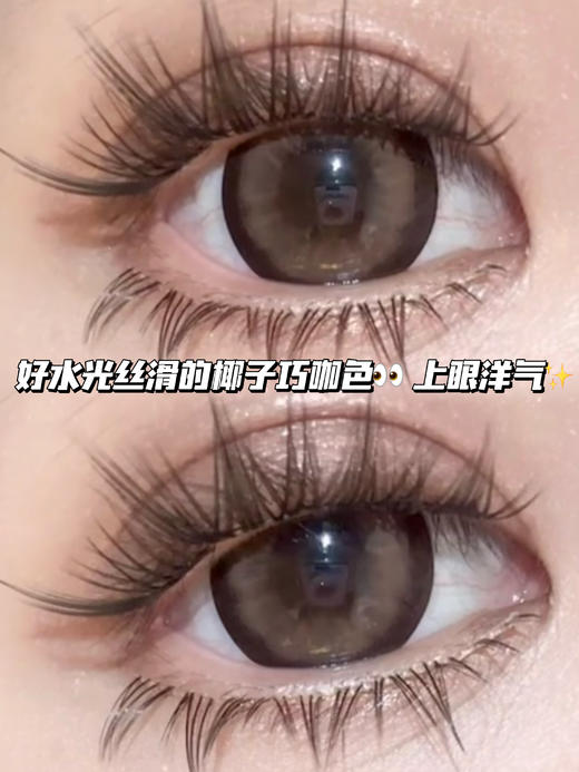 Tiramisu 豆乳栗子奶咖·半年抛型 商品图0