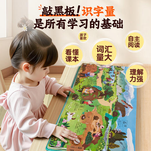 【青葫芦】汉字启蒙互动立体书（套装共2册） 商品图1