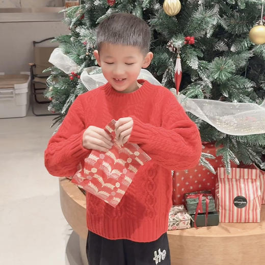 【康赛妮纱线20712亲子系列】火桐hooton 鸿运当头 山羊绒儿童套头衫24A725 商品图0