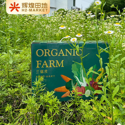 兰菇良应季生态蔬菜盲盒5斤/7斤礼盒装 商品图0