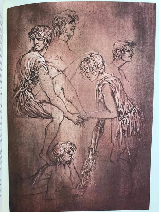 限量版！佩特罗尼乌斯《萨蒂利孔》 配多幅彩色插图 豪华皮装大32开 商品图9