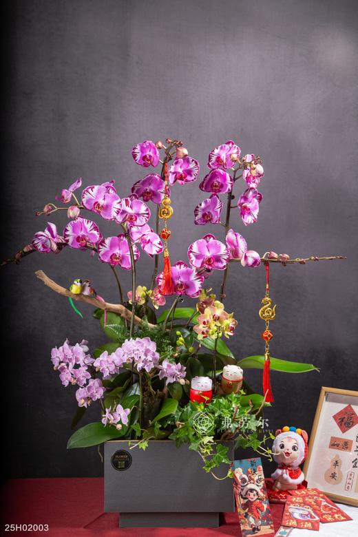 年年有余 商品图0