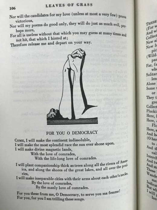 惠特曼《草叶集》 数十幅插图 豪华皮装18开 商品图10