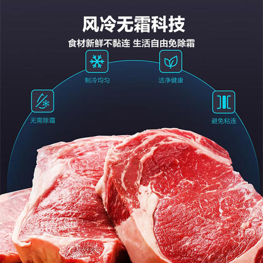 海尔（Haier）【零下40度】立式冰柜风冷无霜超低温抑菌冷藏冷冻切换一级能效抽屉式单门冰箱 【秘境银228升】 228WGHS1U1-智能物联 丨黑金抗菌净化 商品图4