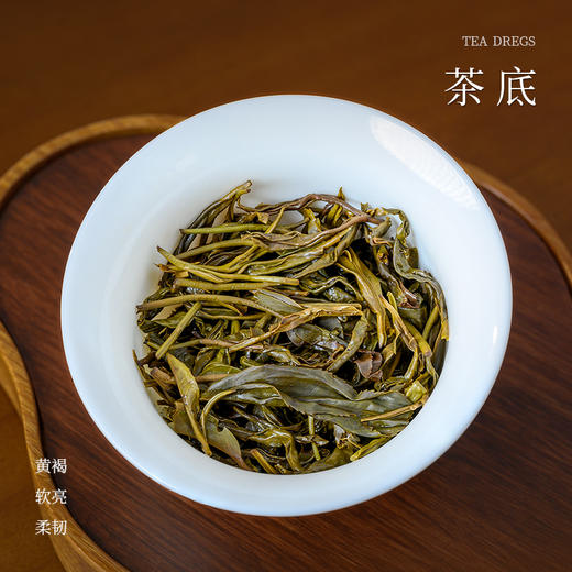 懂茶帝茗茶濡菲六堡茶国非遗韦洁群老师手工六堡茶2024年清明茶 商品图3