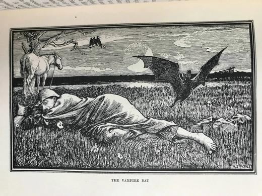 1899年 安德鲁·朗格《红色动物故事书》 数十幅精美插图 漆布精装32开 商品图8